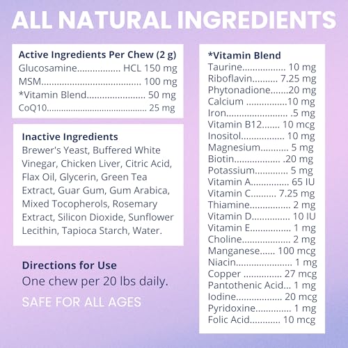 Under the Weather Multivitamin for Dogs | Vet Formulated Daily Canine Health Supplies for Immunity, Skin, Coat & Joint Support | All-in-One Multivitamin for Dogs of All Breeds & Sizes | 60 Count