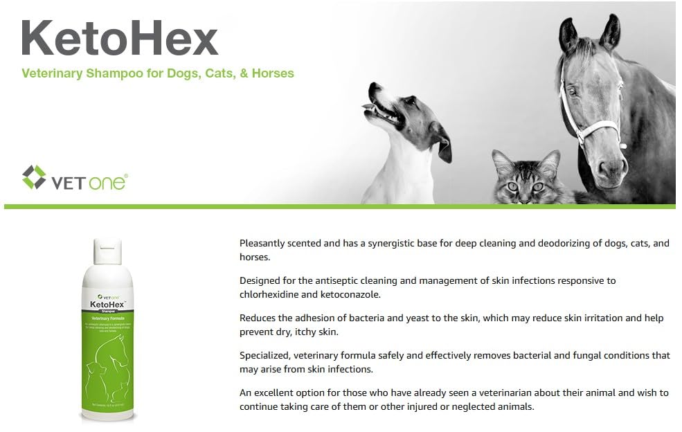 KetoHex Cat and Dog Shampoo - 16 oz Anti Bacterial Cat & Dog Flea And Tick Treatment, For Sensitive Skin Infections & Lesions, Protects & Moisturizes, Antifungal Treatment For Dogs & Cats - VetOne
