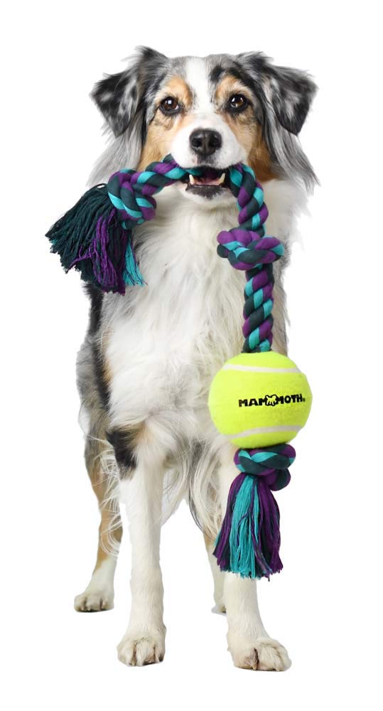 Mammoth Flossy Chews Color 3 Knot Tug w/Standard Tennis Ball – Premium Cotton-Poly Tug Toy for Dogs, Interactive Rope Dog Toy for Medium Dogs - 20” , Multi color
