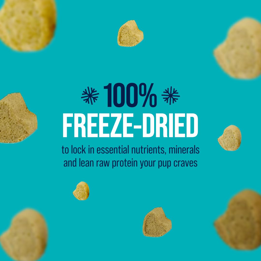 Stewart Raw Naturals Freeze Dried Raw Dog Food or Meal Topper, Lamb & Vegetables Recipe, 32 Ounce Bag, Complete and Balanced Nutrition