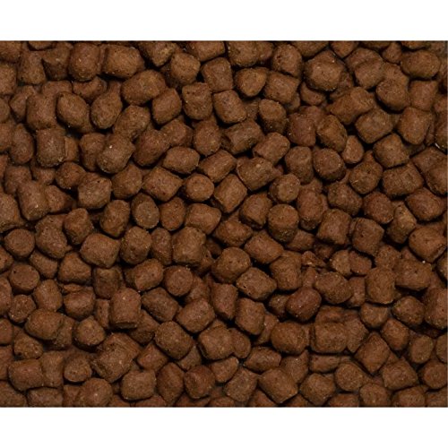 Wysong Optimal Adult Canine Formula Dry Dog Food- 5 Pound Bag, Model: WDCOA5