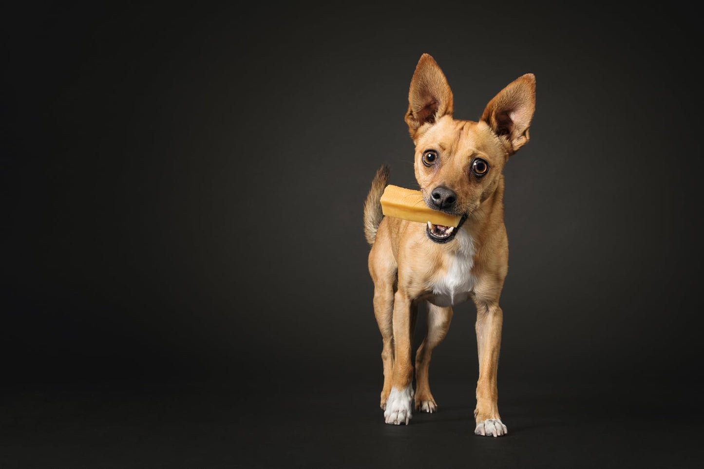 peaksNpaws Himalayan Yak Chews, High Protein Cheese Sticks, Lactose Free, Natural, Long Lasting Dog Treat for Aggressive Chewers Under 15 lbs, 4 Small Treat Sticks, 100% Eco-Friendly Packaging