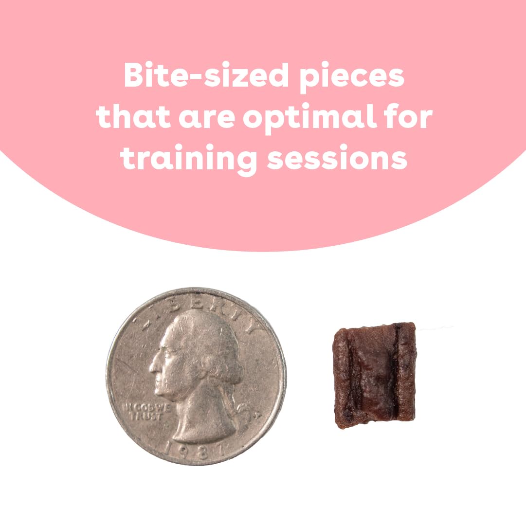 Pupford Soft & Chewy Training Treats for Dogs & Puppies (Pork, 10 oz)