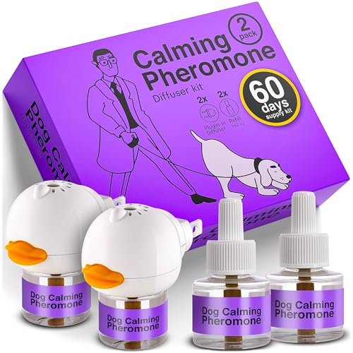 Dexypaws: Enrichment Snuffle Mat: Sky Blue Circle - Textured Dog Feeding Pad, Food Grade Silicone, Spread Food & Treats, Pet Soothing, Suction Back