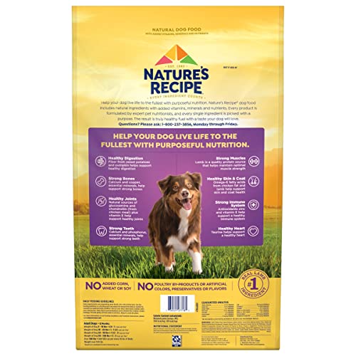 Nature’s Recipe Grain Free Lamb, Sweet Potato & Pumpkin Recipe Dry Dog Food, 24 lb. Bag