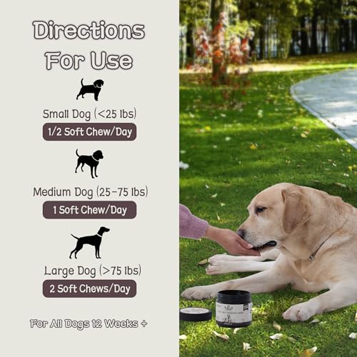 Best Buddy Multivitamin 15-in-1 Treats for Dogs, Complete Health Supplement Joint Support + Digestive Enzymes, Grain Free Dog Vitamins and Supplements for Skin & Coat (Bacon/Pork, 225g)