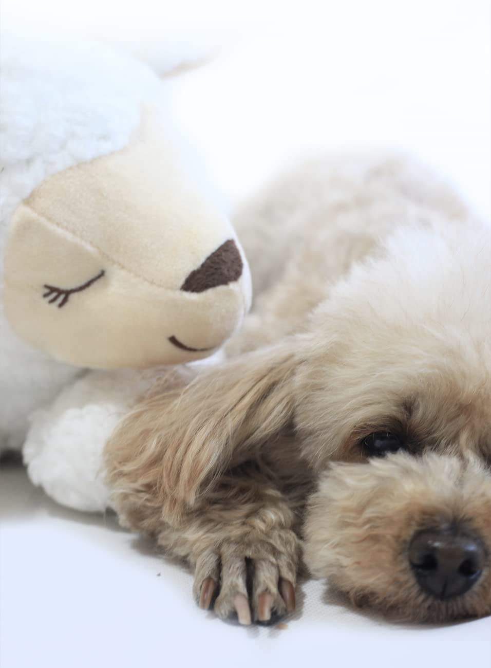 HonourHope Dog Heartbeat Toy for Anxiety Relief, Soft Plush Pet Calming Aid - Sheep