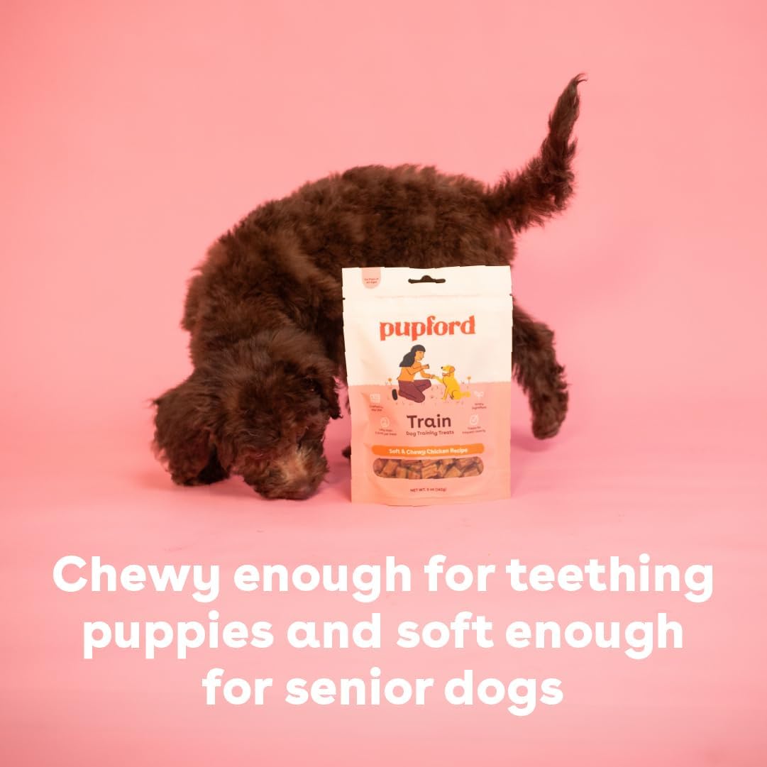 Pupford Soft & Chewy Training Treats for Dogs & Puppies (Pork, 10 oz)