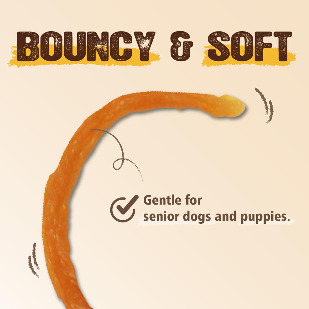 Gootoe Soft Turkey Tendon Stirip with Pumpkin 3oz, Chewy Snack, USA-Sourced Turkey Tendon, Premium Training Chews, Hypoallergenic, Reseal Value Bags, Ideal for Small & Senior Dogs