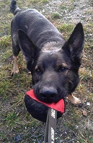 Dingo Gear Dog Tug Ball 4" for Strong Dog, Bite Training, IGP, K9, Fun, Red S02780