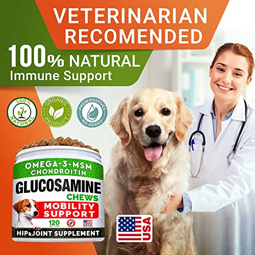 Advanced Allergy & Itch Relief + Glucosamine Dogs Bundle - Skin & Coat Health - Fish Oil Omega 3 & Probiotics + Chondroitin, MSM - Anti-Itch & Hot Spots + Hip & Joint Care - 240 ct - Made in USA