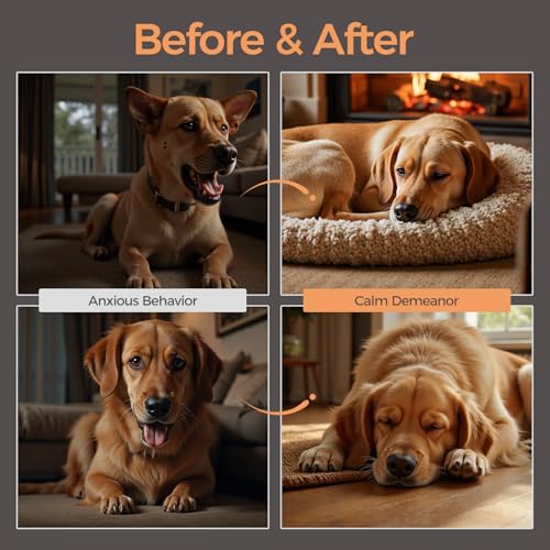 Reggie Calming Spread for Dogs | Natural Peanut Butter with Melatonin & L-Theanine to Reduce Hyperactivity, Separation Anxiety, & Stress | Vet-Approved for All Ages, Breeds, and Sizes - 30 Servings