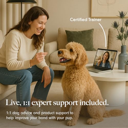 LAY LO Dog Enrichment Starter Pack: Treat Dispensing Toy, Slow Feeder Bowl & Lick Mat, and Snuffle Mat | Dishwasher Safe | Medical Grade Silicone | Non-Toxic | Includes Live Support from Dog Experts