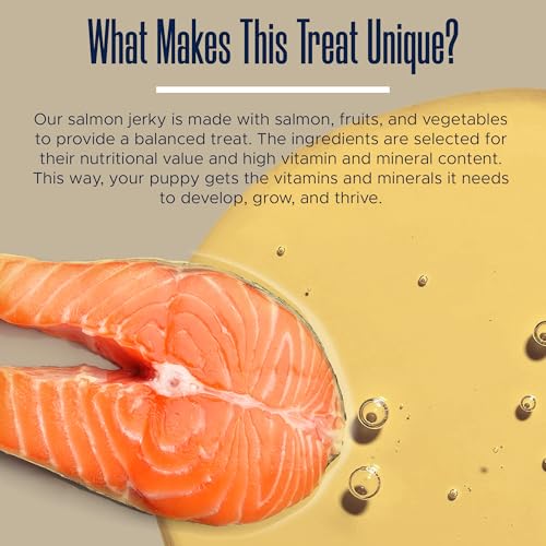 Smarty Pup Salmon Jerky - 12 oz of Fruit, Veggies, and Fish Dog Treats – Puppy Jerky Made with Apples, Carrots, Sweet Potato, Wild Alaskan Salmon, Blueberries, Cranberries, and More