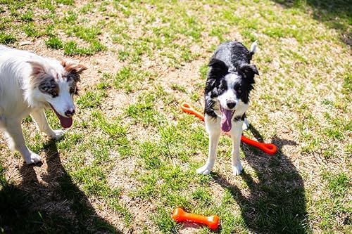 Jersey Dog Co. Perfect Tug Dog Tug of War Dog Toy, Safe Puppy Chew Toys, Made in The USA Rubber-Free Toy 24” Long
