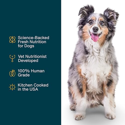 JustFoodForDogs Frozen Fresh Dog Food Topper, Variety Pack, Beef & Turkey Human Grade Dog Food Recipes, 5.5 oz (Pack of 18)