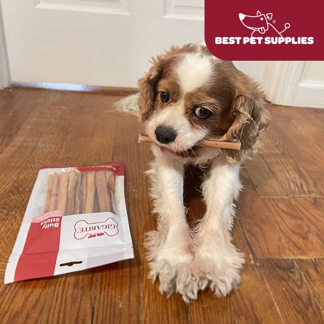 Best Pet Supplies GigaBite 6 Inch Bully Sticks (8 Pack) - All Natural, Free Range Beef Pizzle Dog Treat