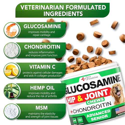 Advanced Glucosamine for Dogs - 170 Chews - Senior Hip and Joint Supplement for Dogs - Glucosamine Chondroitin - Dog Joint Health Pain Relief Pills - MSM - Mobility Support Supplement - Made in USA