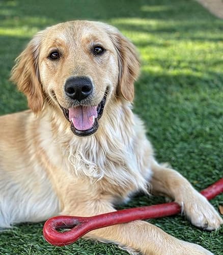 Jersey Dog Co. Perfect Tug Dog Tug of War Dog Toy, Safe Puppy Chew Toys, Made in The USA Rubber-Free Toy 24” Long