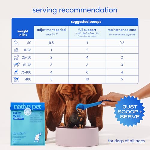 GutWell Power Poop - Digestive Enzymes & Fiber for Dogs - Dog Fiber Supplements Help with Diarrhea Relief, Upset Stomach, Pet Gas & Gut Health with Targeted Triple-Biotic Blend & M-Fiber - 60 Scoops