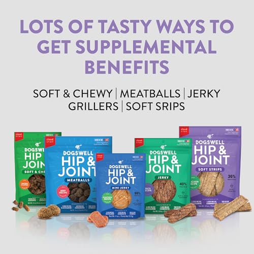 DOGSWELL Hip & Joint Dog Treats 100% Meaty, Grain Free, Glucosamine Chondroitin & Omega 3, Chicken Soft Strips 20 oz