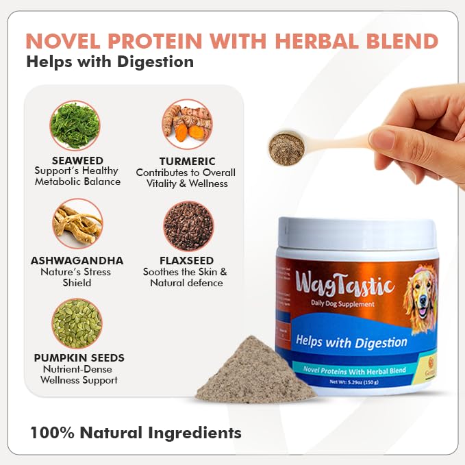 Wagtastic Dog Multivitamin Powder – Natural Superfood & Herbal Blend with Seaweed, Omega 3, Ashwagandha, Turmeric, Flaxseed – Supports Digestion, Immunity, Skin, Coat & Overall Health