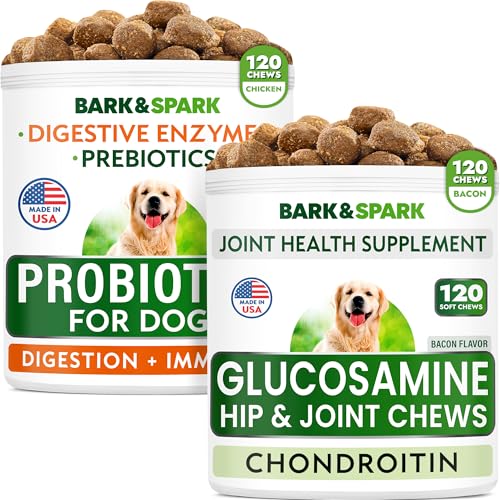 Glucosamine Bacon Flavor + Dog Probiotics Bundle - Joint Pain Relief + Gas, Diarrhea Relief - Chondroitin, MSM, Omega-3 + Digestive Enzymes, Prebiotics - Chewable Fiber - 240 Soft Chews - Made in USA