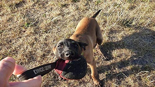Dingo Gear Dog Tug Ball 4" for Strong Dog, Bite Training, IGP, K9, Fun, Red S02780