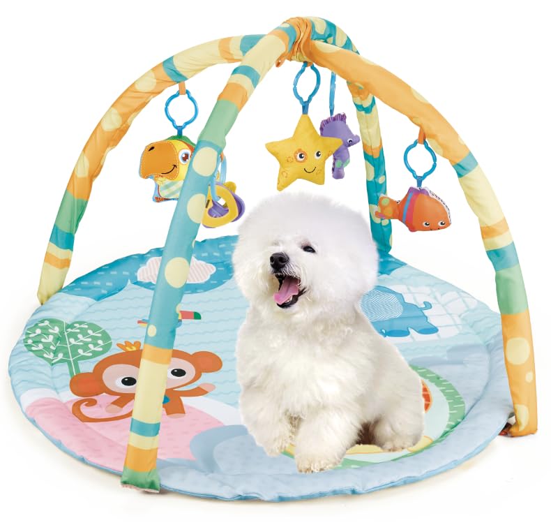 Cutie Patootie Playhouse Puppy Play Gym - Dog & Cat Activity Mat with Squeaky Toys - Interactive Sensory Mat for Pets (Suitable for Dogs & Cats Up to 25 lbs)