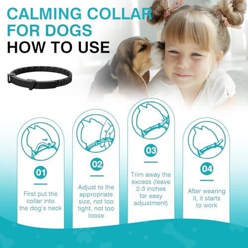 Hemp Calming Chews for Dogs with Anxiety and Stress - Anxiety Relief Chews for Storms, Fireworks, Thunder, Barking, Separation - Valerian, L-Tryptophan, Hemp Oil - Chicken - 120 Dog Calming Treats