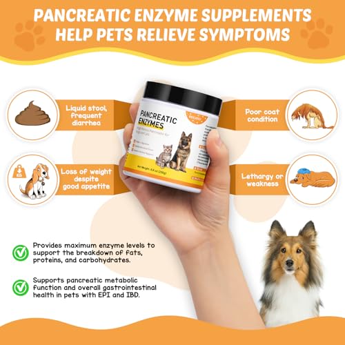 Pancreatic Enzymes for Dogs (8.8 Oz) | 10x Pancreatin Formula | Digestive Enzymes for Dogs with EPI | Helps Restore Normal Weight, Supports Digestive Stress and Pancreatic Issues