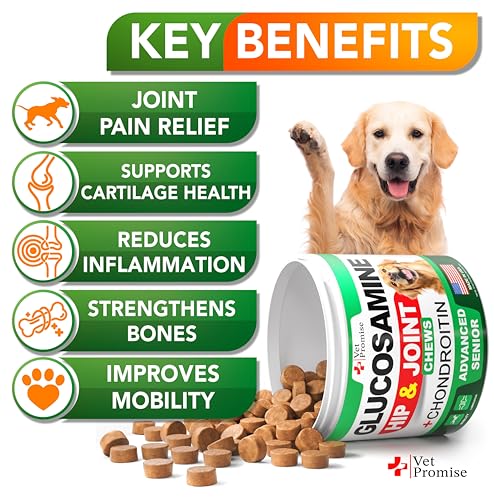 Advanced Glucosamine for Dogs - 170 Chews - Senior Hip and Joint Supplement for Dogs - Glucosamine Chondroitin - Dog Joint Health Pain Relief Pills - MSM - Mobility Support Supplement - Made in USA