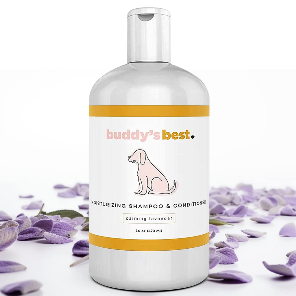 Buddy's Best Dog Shampoo for Smelly Dogs - Skin-Friendly, Oatmeal Dog Shampoo and Conditioner for Dry and Sensitive Skin - Moisturizing Puppy Wash Shampoo, Calming Lavender Scent, 16oz