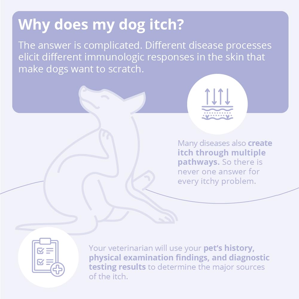 Arm & Hammer for Pets Itch Relief Bundle: Itch Relief Shampoo, 20 Fl Oz and Itch Relief Spray, 8 Fl Oz | Chamomile & Peppermint Scent, Free of Sodium Lauryl Sulfate & Parabens