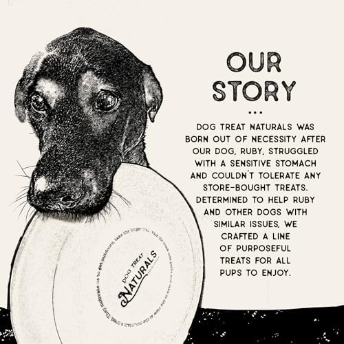 Dog Treat Naturals Turkey & Blueberry Superfood Sticks for Dogs | Premium Training Treats | with Turmeric for Joint Health | Made with Real Turkey & Blueberry | Made in USA | 6 Ounces