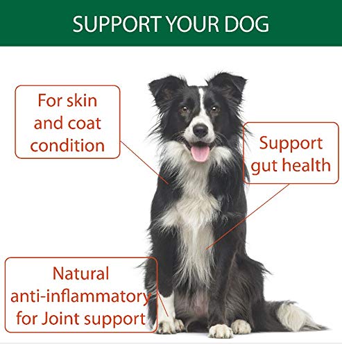 Natural Turmeric Powder for Dogs with Powdered Coconut Oil - Turmericle Anti-Inflamatory Dog Supplement for Healthy Hip & Joint Function - Normal Skin Health (1 Pack)