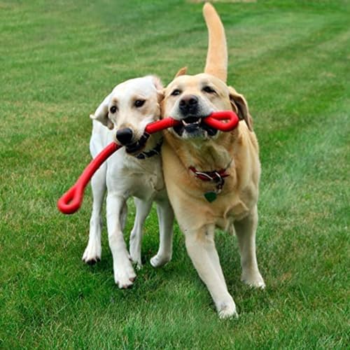 Jersey Dog Co. Perfect Tug Dog Tug of War Dog Toy, Safe Puppy Chew Toys, Made in The USA Rubber-Free Toy 24” Long