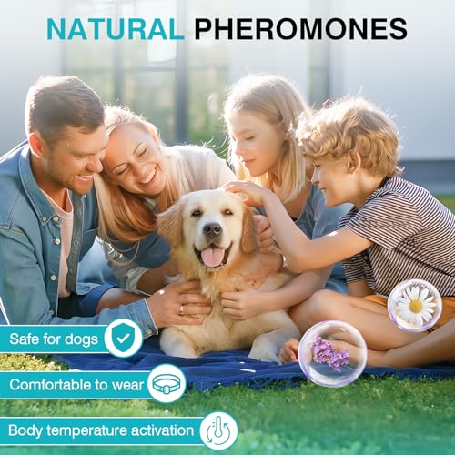 Hemp Calming Chews for Dogs with Anxiety and Stress - Anxiety Relief Chews for Storms, Fireworks, Thunder, Barking, Separation - Valerian, L-Tryptophan, Hemp Oil - Chicken - 120 Dog Calming Treats