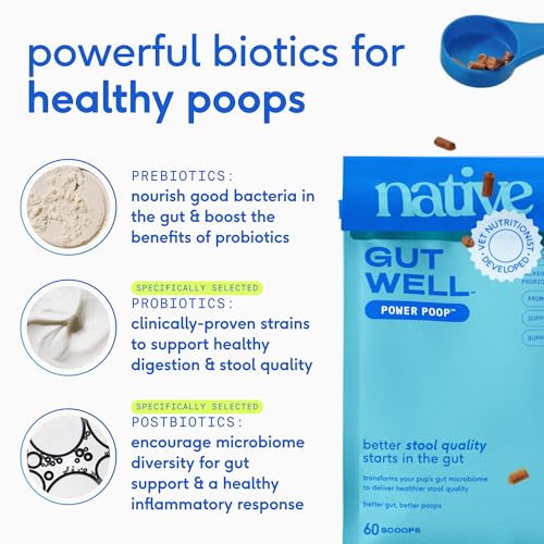 GutWell Power Poop - Digestive Enzymes & Fiber for Dogs - Dog Fiber Supplements Help with Diarrhea Relief, Upset Stomach, Pet Gas & Gut Health with Targeted Triple-Biotic Blend & M-Fiber - 60 Scoops
