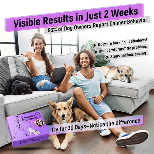 Dexypaws: Enrichment Snuffle Mat: Sky Blue Circle - Textured Dog Feeding Pad, Food Grade Silicone, Spread Food & Treats, Pet Soothing, Suction Back