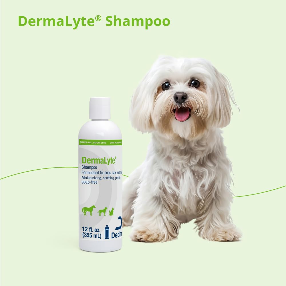 Dermalyte Shampoo, 12 Ounce