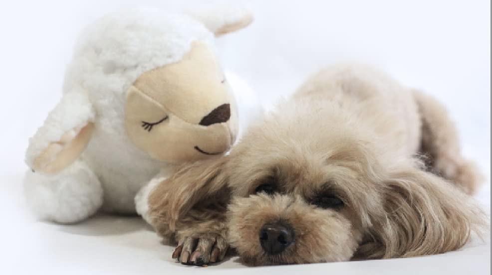 HonourHope Dog Heartbeat Toy for Anxiety Relief, Soft Plush Pet Calming Aid - Sheep