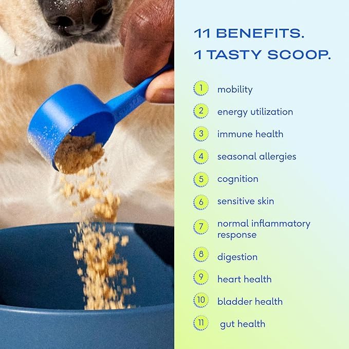 Wild Alaskan Salmon Oil for Dogs & Cats 8 oz and Cranberry UTI Chews for Dogs Bladder Suppot + D-Mannose 120 Chews