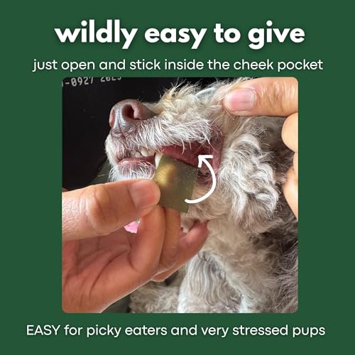 PetPax Co. ZenMelts Dogs Anxiety Relief Calming 5 Strips only - Anti Anxiety for Dogs During Fireworks, Storms & Separation - Non-Drowsy Tasty Dog 5 - Melt
