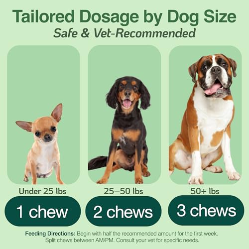 BAZI Calm Dog Chews – Natural Stress Relief for Hyperactive Dogs with Lemon Balm, Taurine & Theanine – Calming Support for Anxiety, Fireworks, Thunderstorms, Travel & Training – 60 Soft Chews