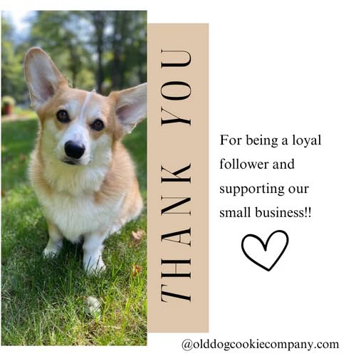 Old Dog Cookie Company Tiny Diabetic Dog Treats | All Natural, 2 Calorie, Vet Approved Pet Snacks | Top Treat for Dogs | Healthy Chews for Large, Medium & Small Breeds | 8 oz