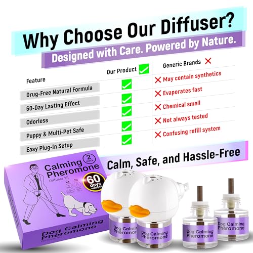 Dexypaws: Enrichment Snuffle Mat: Sky Blue Circle - Textured Dog Feeding Pad, Food Grade Silicone, Spread Food & Treats, Pet Soothing, Suction Back