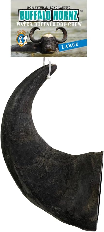 QT Dog Large Water Buffalo Horn - Long-Lasting 100% All-Natural Dog Chew, Ethically Sourced Protein-Packed & Low Fat Dental Chews, Ideal for All Breeds & Aggressive Chewers