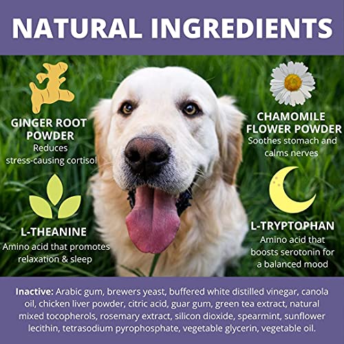 Under the Weather Pet Soft Dog Chew Supplements for Calming and Probiotics | Supports Relaxation and Normal Emotional Balance in Dogs (Calming, 120 Count)