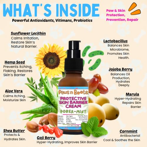 Protective Skin Barrier Cream Best Itchy Skin Relief for Dogs. Holistic Treatment, 100% Natural. Fast-Drying, Mess-Free Enriching Antioxidants, Relieves Itching, Hot Spots, Paw-Licking. Dober-Mint